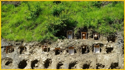  म्याग्दीको पाखोबारी भित्तामा व्यावसायिक अरिङ्गाल पालन 